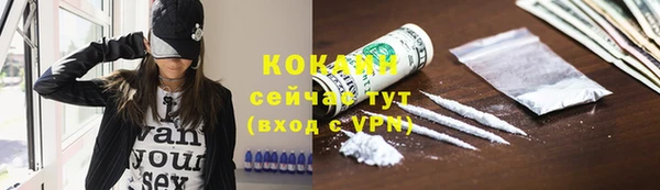 дмт Осташков