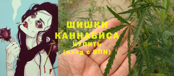 спайс Верея